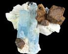 Gorgeous Aquamarine Crystal with Black Tourmaline & Feldspar - Namibia #92703-2